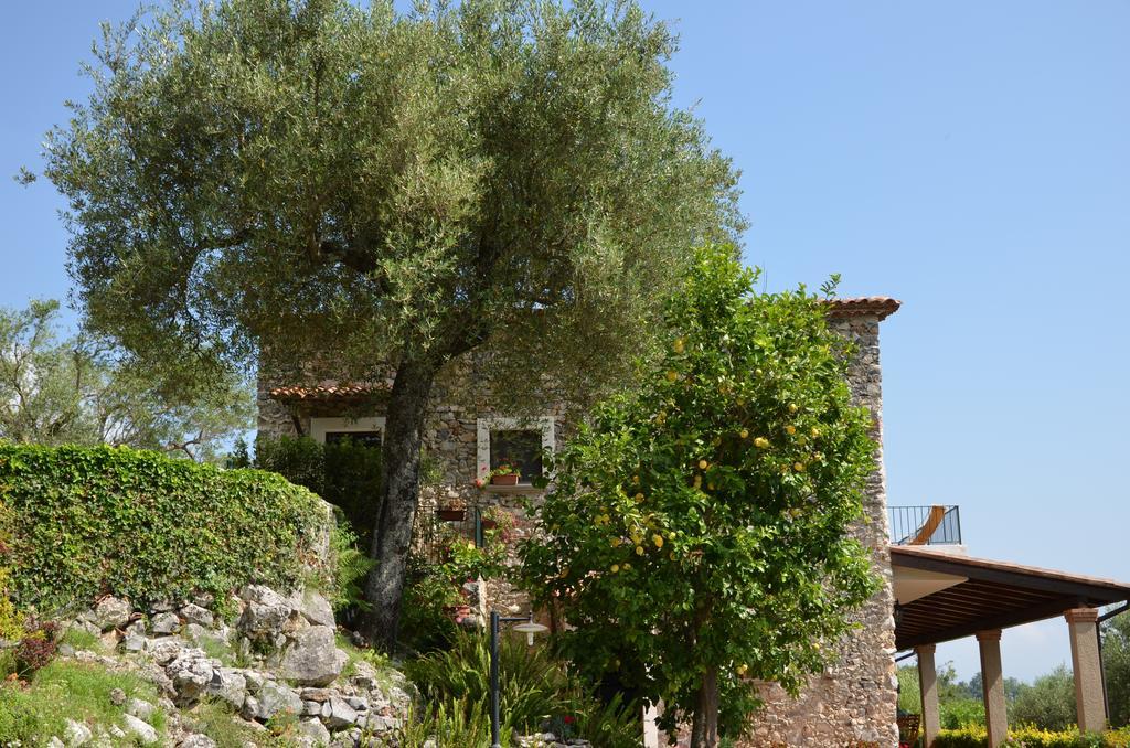 Agrestis Domus Guest House San Giovanni a Piro Exterior photo